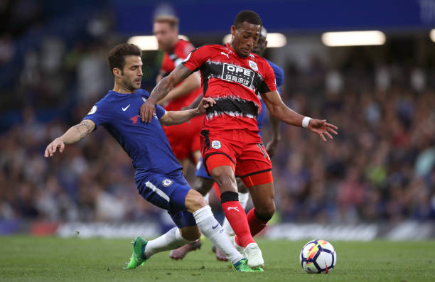 哥伦比亚的 哥伦比亚的