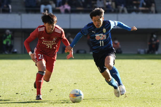 揭秘拉菲尼 揭秘拉菲尼