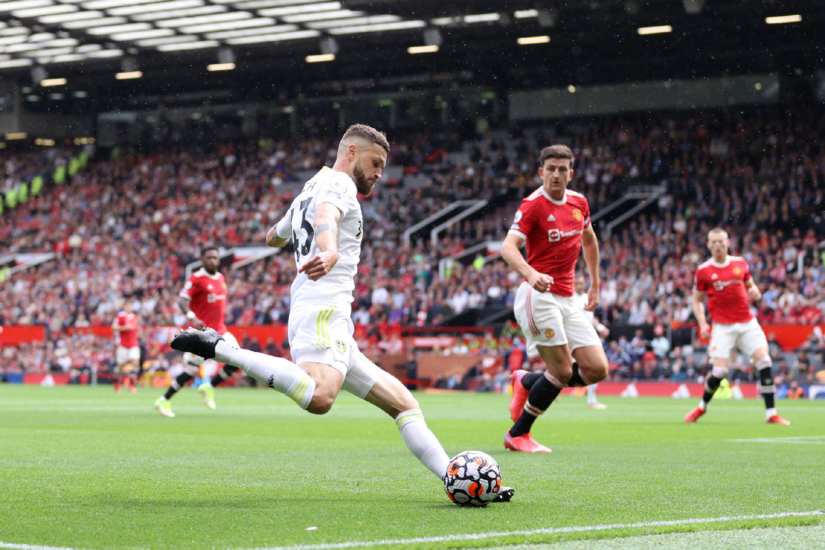 他的存在提 他的存在提